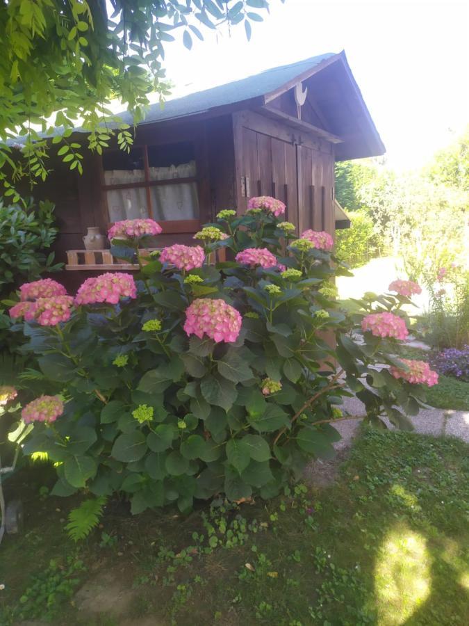 Al Casale B&B Casalserugo Dış mekan fotoğraf