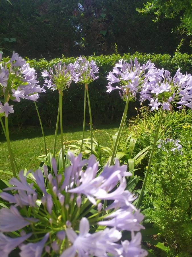 Al Casale B&B Casalserugo Dış mekan fotoğraf