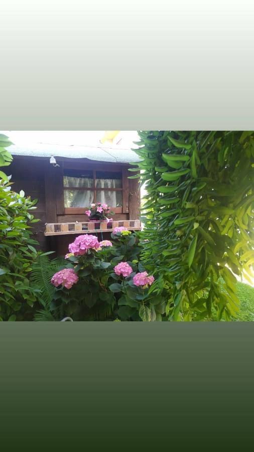 Al Casale B&B Casalserugo Dış mekan fotoğraf
