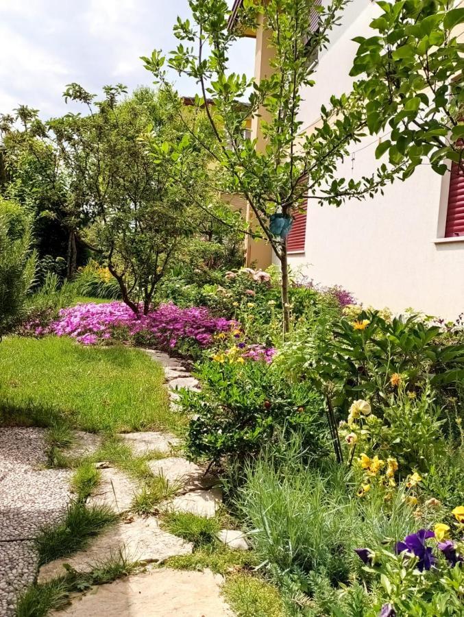 Al Casale B&B Casalserugo Dış mekan fotoğraf