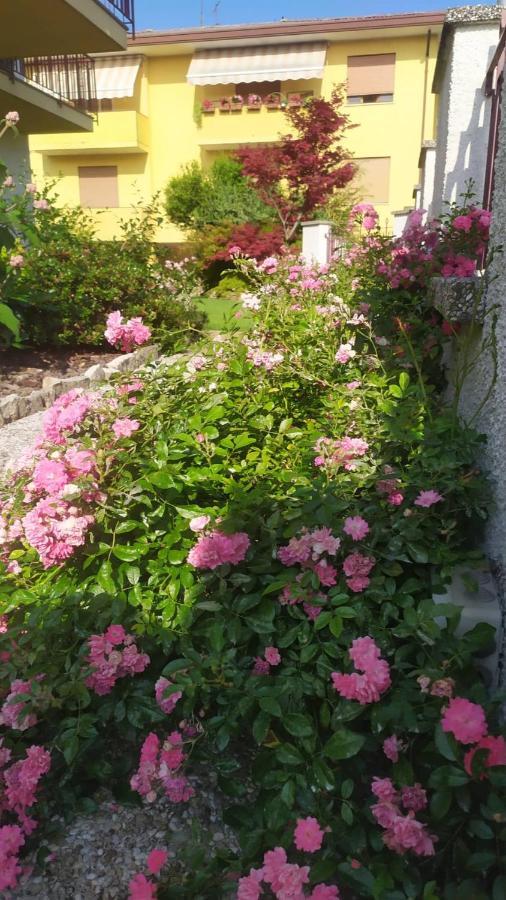 Al Casale B&B Casalserugo Dış mekan fotoğraf